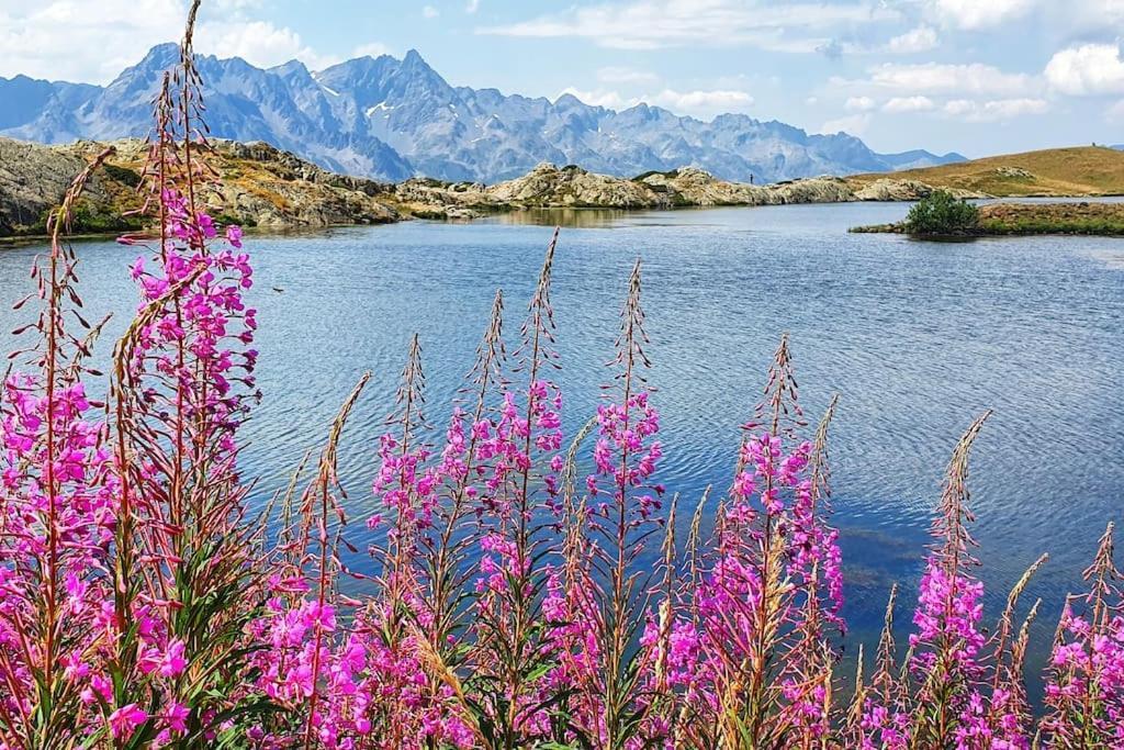 *Nouveau* Pied Des Pistes * Piscine Ext. Chauffee* Alpe d'Huez Dış mekan fotoğraf